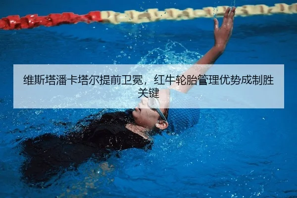 wei-si-ta-pan-ka-ta-er-ti-qian-wei-mian-hong-niu-lun-tai-guan-li-you-shi-cheng-zhi-sheng-guan-jian-2-416.jpg